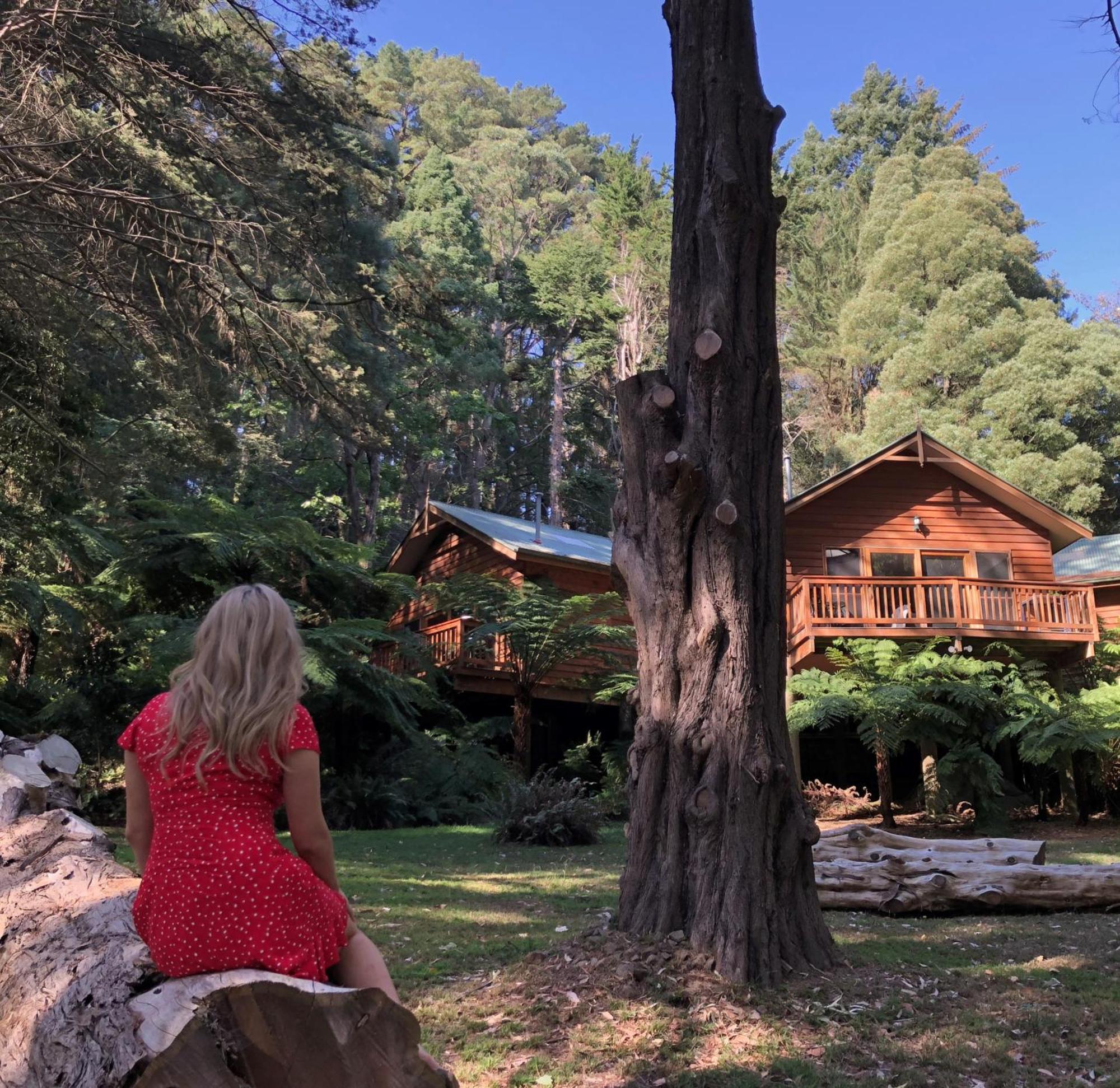 Chudleigh Park Cottages Sassafras Eksteriør billede